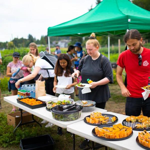 Farm your and lunch 